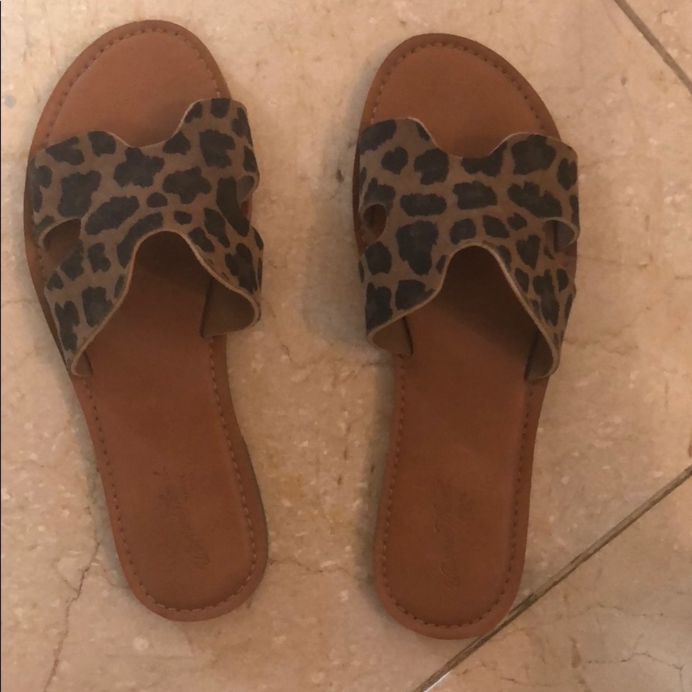 Leopard slides